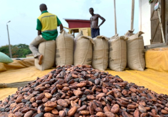 La C�te d'Ivoire doit faire face � 200 000 tonnes de cacao invendues en raison d'un diff�rend sur les prix