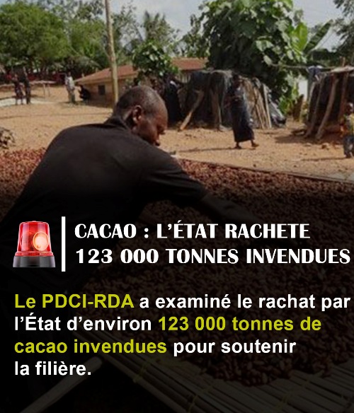 Cacao invendu : pour le PDCI-RDA, le rachat par l'�tat est un aveu d'�chec