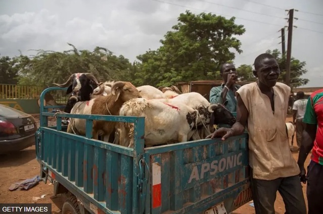 A�d el Adha : l'interdiction des exportations de b�tail au Burkina Faso fait grimper les prix en C�te d'Ivoire voisine