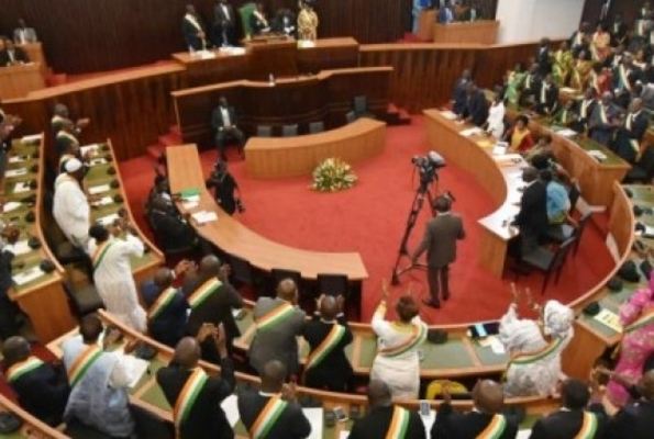 Nouvelle Constitution L'avant-projet adopt  l'unanimit par l'Assemble nationale