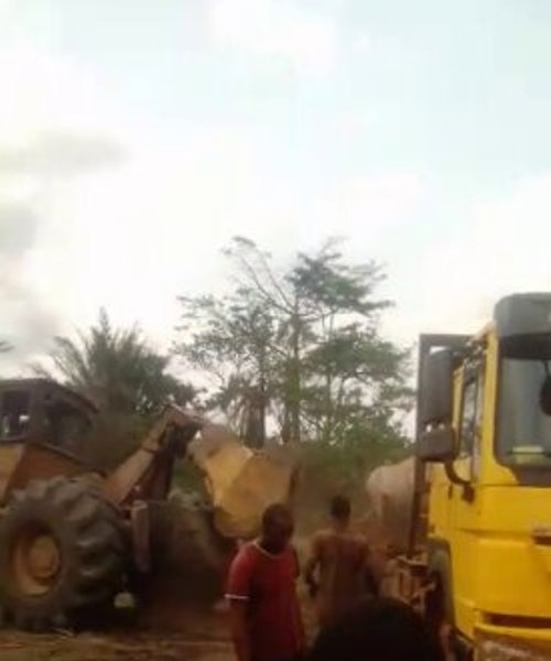 Cte d'Ivoire / Alerte !!! Destruction du patrimoine forestier par les coupeurs de bois  DOKA dans la sous-prfecture d'Oum
