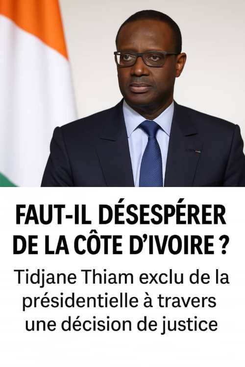 Faut-il dsesprer de la Cte d'Ivoire ? Analyse d'une dmocratie  l'preuve