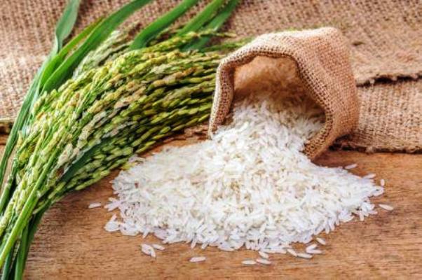 Cte d'Ivoire / 2 millions de tonnes de riz blanchi ne suffiront pas pour l'autosuffisance d'ici 2025 (USDA)