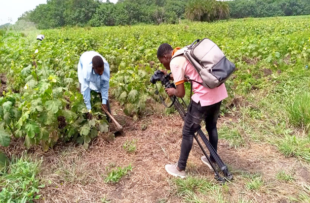 Afrique de l'Ouest : Les Journalistes Agricoles crentle REJA-CEDEAO