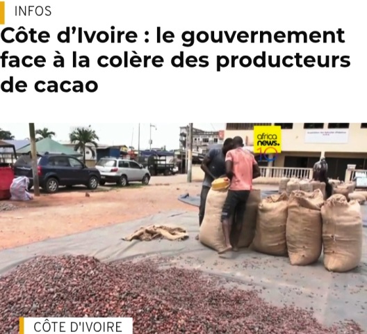 C�te d'Ivoire : le gouvernement face � la col�re des producteurs de cacao