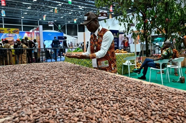 La Cte d'Ivoire dlivre 109 licences d'exportation de cacao pour la saison 2025/26