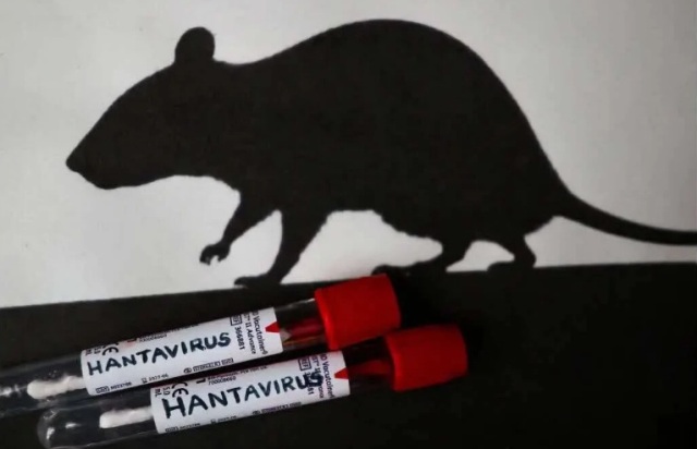 Hantavirus : situation en C�te d'Ivoire