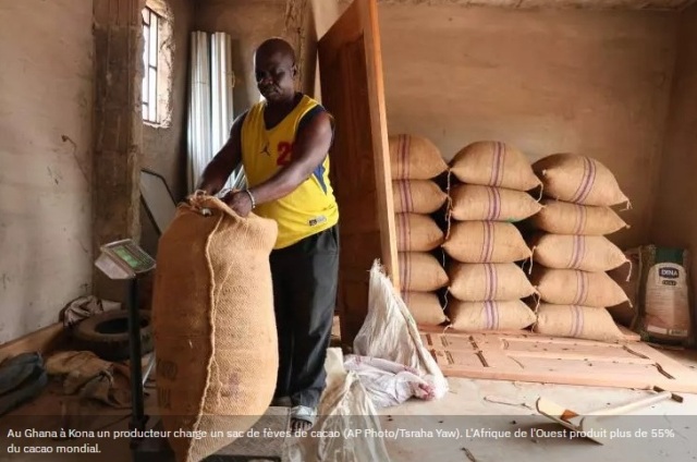 De 2.800 francs � 1.200 francs CFA en cinq mois: comment expliquer la chute vertigineuse du prix du cacao en C�te d'Ivoire