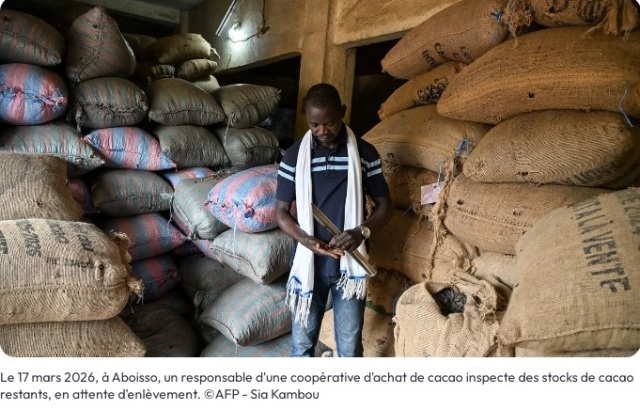 En C�te d'Ivoire, la fili�re du cacao d�stabilis�e par la chute des prix