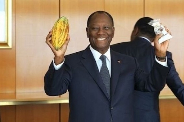 Aprs l'affaire Fulton sous Gbagbo, Ouattara veut transformer le Cacao