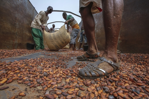 San Pedro / Filire caf-cacao : 84 dchargeurs de OLAM remercis suite  un arrt de travail