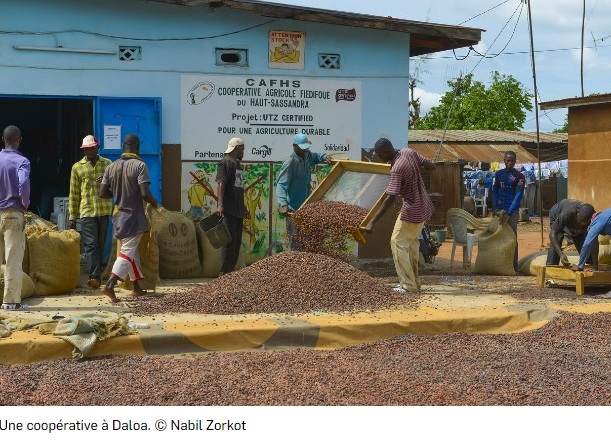 La comp�titivit� du cacao ivoirien en question face � la baisse du march�