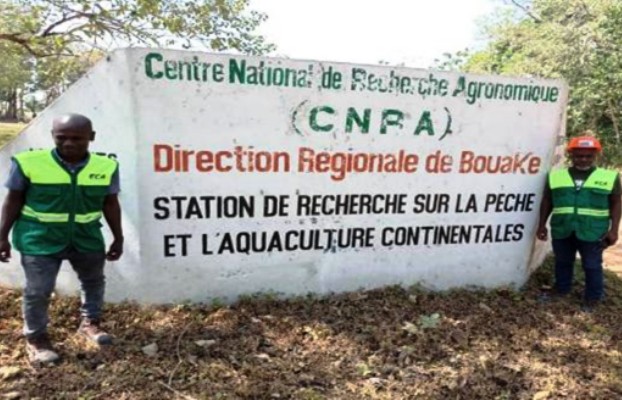 BOUAK, PLUS DE 2,5 MILLIARDS FCFA POUR RELANCER LE CNRA