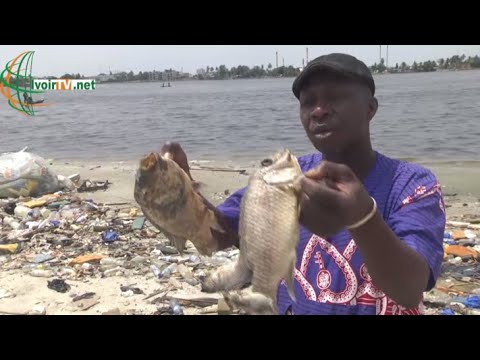 Abidjan/ Incivilit industrielle: le ras-le-bol des riverains du village de Bietry contre les usines