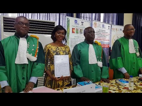 THESE DE DOCTORAT DE PHILOSOPHIE D'ANGAMAN JEANINE
