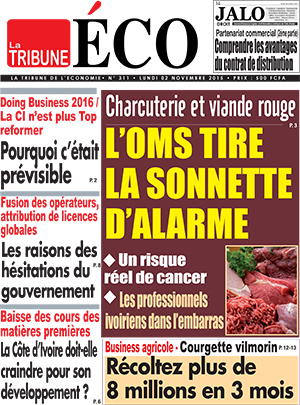 La Tribune de lEconomie